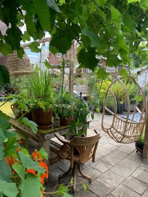 De Bollenschuur Villa Егмонд ан Зее Екстериор снимка